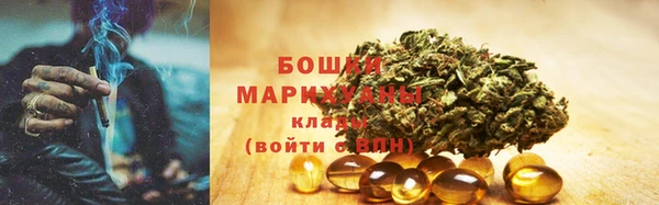 ПСИЛОЦИБИНОВЫЕ ГРИБЫ Лихославль