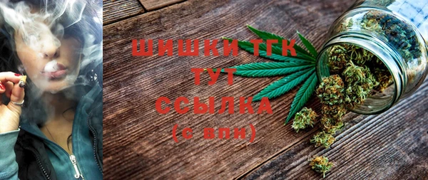 ПСИЛОЦИБИНОВЫЕ ГРИБЫ Лихославль