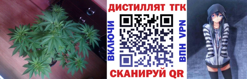 darknet наркотические препараты  Малгобек  ТГК гашишное масло 