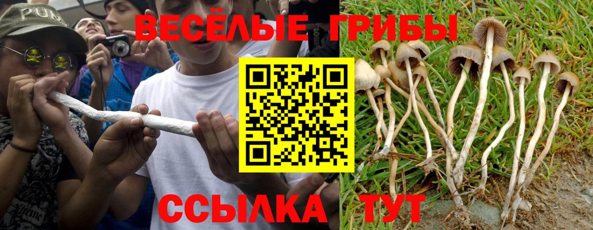 Псилоцибиновые грибы мицелий  Галлюциногенные грибы Magic Shrooms  Малгобек  Вход с VPN 
